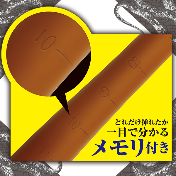 �y�Q�U�S�O�~�����ʌ���z�����O�R�����X�l�[�N�v���O�@�i�m�[�}���@�k�j������l�l�P�_���聄