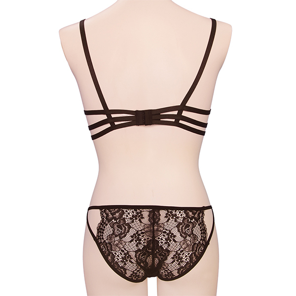 �y�Q�S�U�O�~�����ʌ���z�������V���[�c���@�u���@���Ƃ��̖��p������l�l�P�_���聄