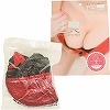 性臭 ブラジャー 巨乳のにおい