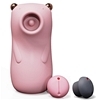 ���z�����Big�@Bear�@�i��ݸ�j